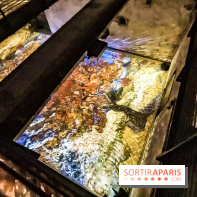 Exposition Van Gogh à l'Atelier des Lumières, les photos