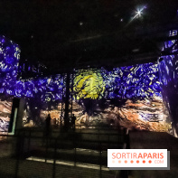 Exposition Van Gogh à l'Atelier des Lumières, les photos