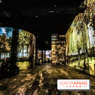 Exposition Van Gogh à l'Atelier des Lumières, les photos