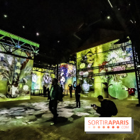Exposition Van Gogh à l'Atelier des Lumières, les photos
