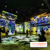 Exposition Van Gogh à l'Atelier des Lumières, les photos
