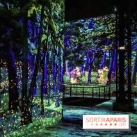 Japon rêvé, l'exposition immersive à l'Atelier des Lumières, les photos