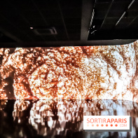 Verse, l'exposition au bar du Studio de l'Atelier des Lumières