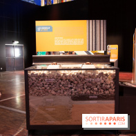 Grande vitesse ferroviaire, l'exposition à la Cité des Sciences : nos photos