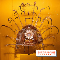 Océanie au musée du Quai Branly