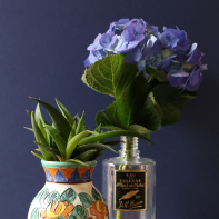 The Blond Cactus, quand le cactus passe en mode vintage