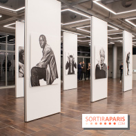 Stéphane de Bourgies, Quand le masque tombe