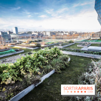 Le Cordon Bleu, cours de cuisine et nouveau café