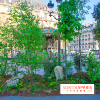 Journée Internationale des Forêts 2019