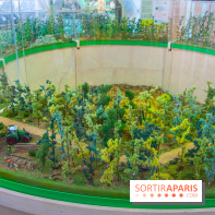 Journée Internationale des Forêts 2019