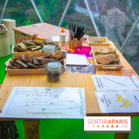 Journée Internationale des Forêts 2019