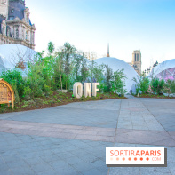 Journée Internationale des Forêts 2019