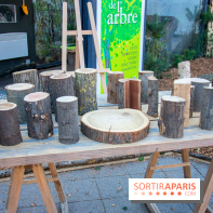 Journée Internationale des Forêts 2019