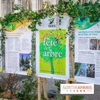 Journée Internationale des Forêts 2019