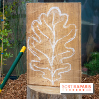 Journée Internationale des Forêts 2019