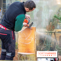 Journée Internationale des Forêts 2019