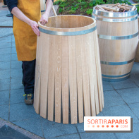 Journée Internationale des Forêts 2019