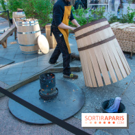 Journée Internationale des Forêts 2019