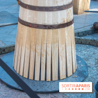 Journée Internationale des Forêts 2019