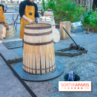 Journée Internationale des Forêts 2019
