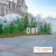 La forêt, une expérience à vivre sur le Parvis de l'Hôtel de Ville