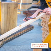 La forêt, une expérience à vivre sur le Parvis de l'Hôtel de Ville