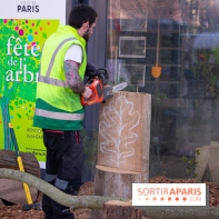 La forêt, une expérience à vivre sur le Parvis de l'Hôtel de Ville