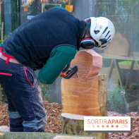 La forêt, une expérience à vivre sur le Parvis de l'Hôtel de Ville