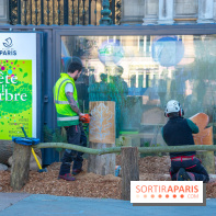 La forêt, une expérience à vivre sur le Parvis de l'Hôtel de Ville