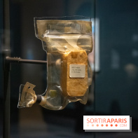 Exposition Lune au Grand Palais, nos photos 