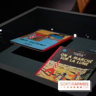 Exposition Lune au Grand Palais, nos photos 