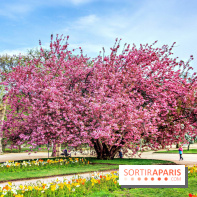 Le Jardin des Plantes