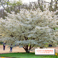 Le Jardin des Plantes