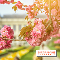 Le Jardin des Plantes