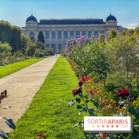Le Jardin des Plantes