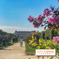 Le Jardin des Plantes