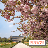 Le Jardin des Plantes