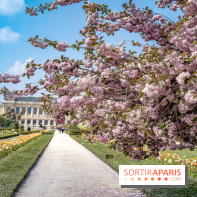 Le Jardin des Plantes
