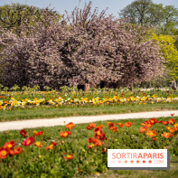 Le Jardin des Plantes