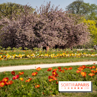 Le Jardin des Plantes