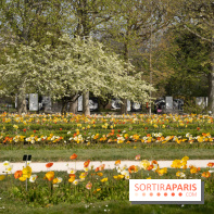 Le Jardin des Plantes