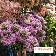 Boya Paris, fleuriste et artisanat