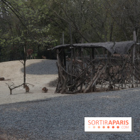 Parc Zoologique de Paris 2019