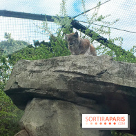 Parc Zoologique de Paris 2019