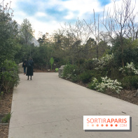 Parc Zoologique de Paris 2019