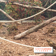 Parc Zoologique de Paris 2019