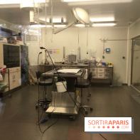 Parc Zoologique de Paris 2019