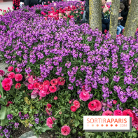 Earth Month à Disneyland Paris