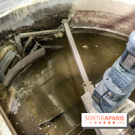 Earth Month à Disneyland Paris