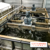 Earth Month à Disneyland Paris